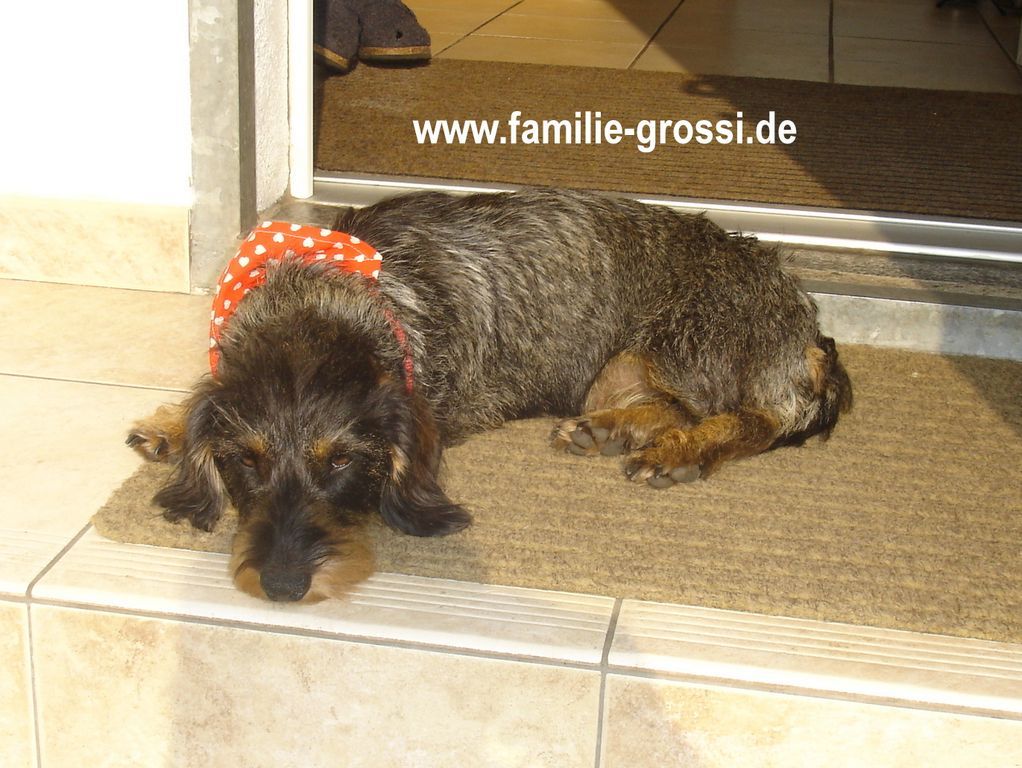 Schliessen von 11.JPG